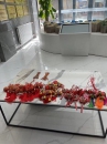 嘉泰物業|端午節，揚帆日，一“粽”定乾坤！